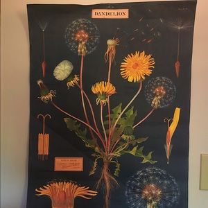 Super cute large dandelion poster